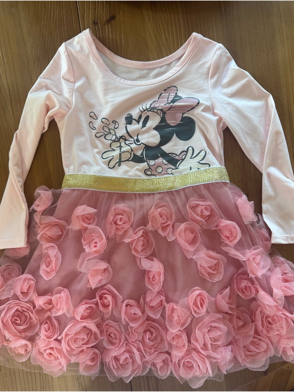 Disney Pink Long-Sleeve Minnie Mouse Rose Appliqué Tulle Dress with Gold Waist